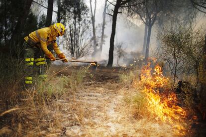 Un bomberol del Infoca trabaja en el incendio forestal de Doñana.