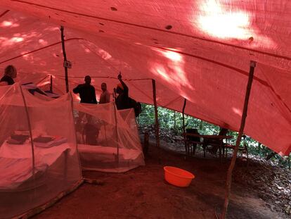 Luambua y sus compañeros pasan la noche en ‘biocampamentos’ instalados en plena selva en Yangambi: basta una lona para protegerse de la lluvia tropical, catres armados con ramas y un saco de arroz tensado a modo de colchón. La vida en el campamento puede ser reconfortante, pero también rutinaria.