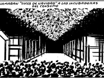 EL ROTO