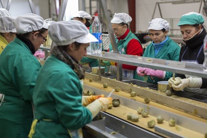 Mujeres trabajando en una cooperativa de envasado de alcachofas en Marinaleda (Sevilla).