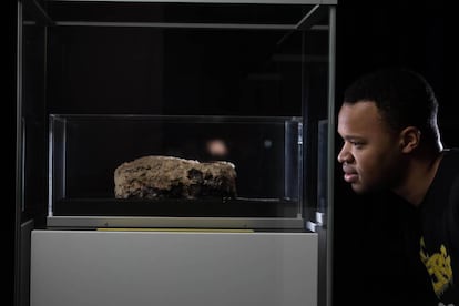 El 'fatberg' extraído de las alcantarillas que se exhibe en el Museo de Londres.