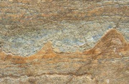 Los fósiles hallados en las rocas de Groenlandia