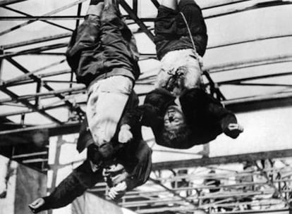 Los cadáveres de Mussolini y Clara Petacci, colgados en Milán el 29 de abril de 1945, al día siguiente de su ejecución.
Mussolini se dirige a la muchedumbre en 1938 luciendo el uniforme de la milicia fascista que él había fundado.