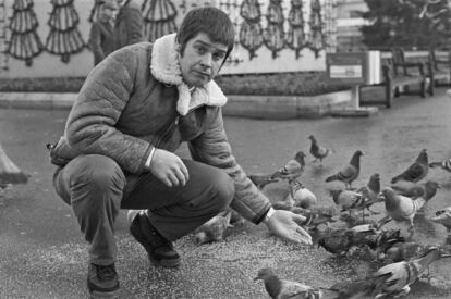 Ozzy Osborne alimentando pombos em Glasgow em 1982. Foi justamente degustando um pombo que ele protagonizou um de seus momentos mais selvagens. Ozzy também gosta de morder morcegos. GETTY