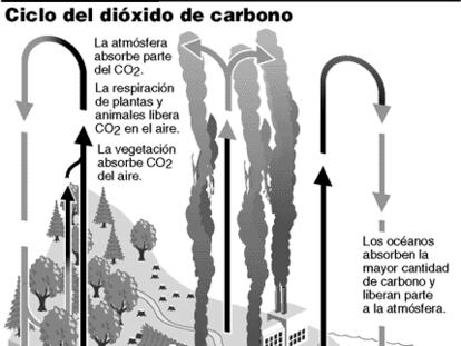Dióxido de carbono