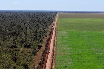 Vista aérea de una carretera que divide un monocultivo de soja en la región de Ribeiro Gonçalves, en Brasil.