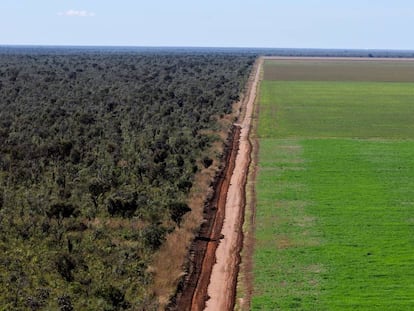 Vista aérea de una carretera que divide un monocultivo de soja en la región de Ribeiro Gonçalves, en Brasil.