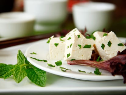 Todo lo que siempre quisiste saber sobre el tofu