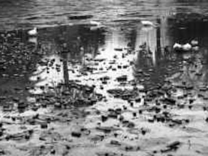 B-32810. COLOR. 21/2/00. VACIADO DEL ESTANQUE DEL PARQUE DE LA CIUTADELLA . FOTO: CARLES RIBAS.