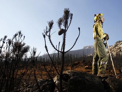 Un brigadista observa 
un incendio ya estabilizado en la sierra de Teleno, en León, en 2012. 