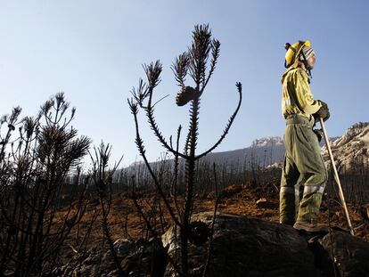 Un brigadista observa
un incendio ya estabilizado en la sierra de Teleno, en León, en 2012.