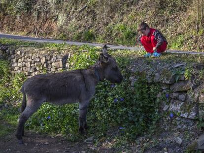 Seis sugerencias para reconciliarse con la naturaleza este fin de semana