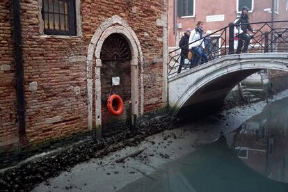 Venecia lleva muchos días luchando con una marea baja, que empieza a crear serios problemas también para la navegabilidad como en este canal secundario, el pasado 17 de febrero.
