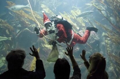 Un buzo vestido de Papá Noel saludaba el pasado 2 de dicmebre a los visitantes en el acuario Multimar Wattforum de Tönning, en Alemania.
