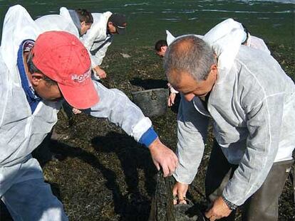 Monos blancos por la limpieza de la ría