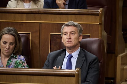 Feijóo, el día 25 en el Congreso, junto a su portavoz parlamentaria, Cuca Gamarra.
