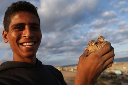 Um palestino de 19 anos sorri enquanto mostra duas codornas que encontrou na praia de Gaza, dia 26 de setembro.