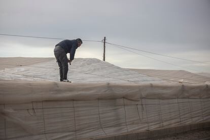 Un hombre trabaja en la parte superior de un invernadero.