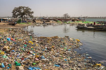 A infinidade de resíduos descontrolados se acumula nos cantos, árvores, ruas e margens do rio Senegal, quando passa pela cidade de Saint Louis. O lixo atinge o cenário dos cartões postais desta vila, antiga colônia francesa de casas em tons pastéis, patrimônio da Unesco. A imagem torna-se enlameada com toneladas de lixo não gerenciado, que poluem suas águas, obstrui instalações, é engolido pelo gado e infecta sob os pés de milhares de crianças e adultos. "Há apenas três caminhões de lixo para 250.000 pessoas. Na verdade, existem sete, mas quatro não funcionam. Sempre falta alguma peça", reconhece o chefe do Gabinete do Conselho da Cidade, Mai Biteye. "Sabemos que temos que fazer muito mais", acrescenta. Na foto, lixo a poucos metros do mercado de peixe de Guet Ndar.