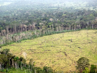 Área deforestada en zona rural de Nueva Colombia.