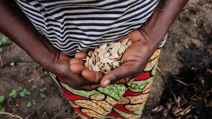 Una mujer sostiene un pu&ntilde;ado de semillas en Rep&uacute;blica Centroafricana.
