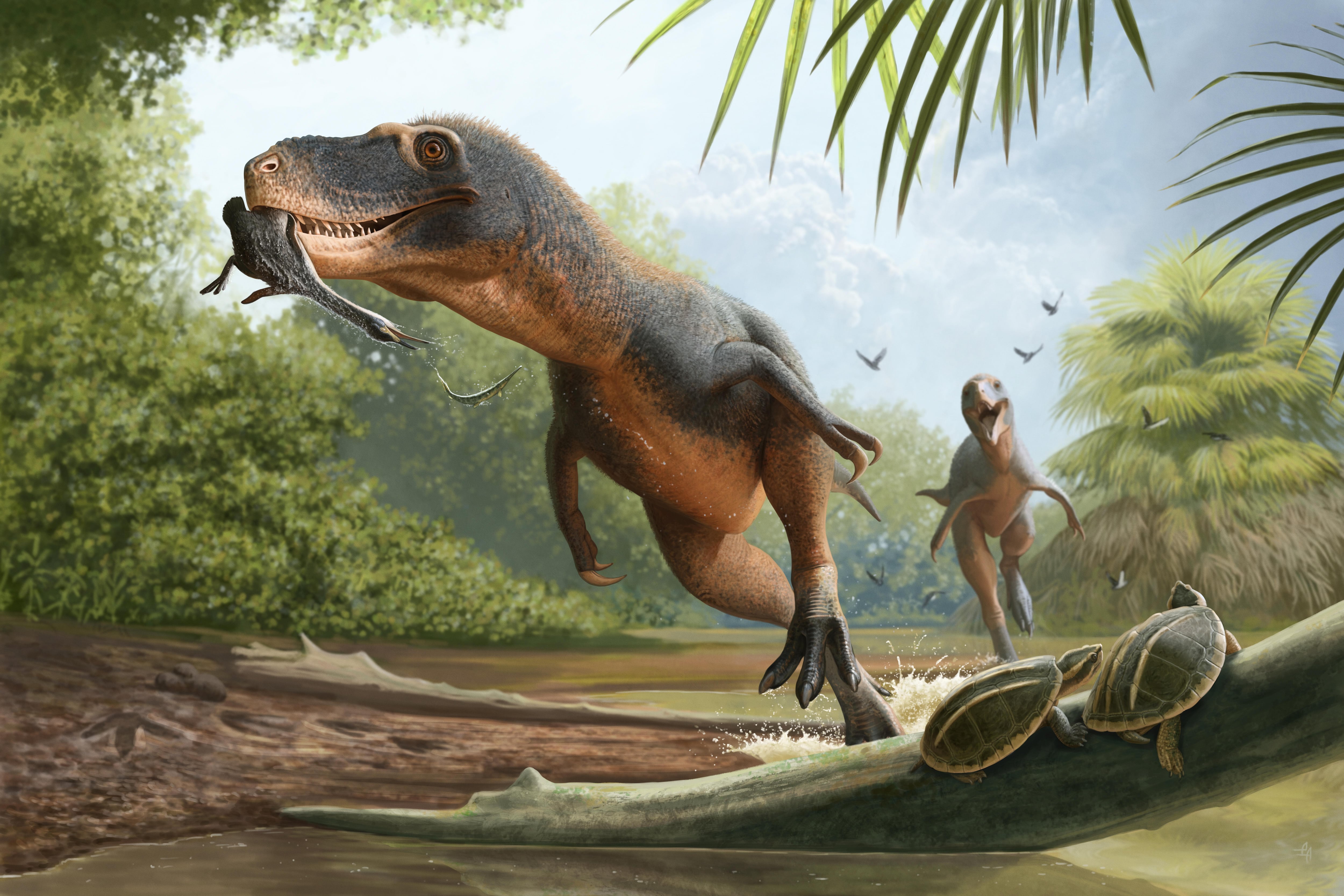 Una pluma atrapada en un excremento de dinosaurio da nuevas pistas sobre la extinción de las aves primitivas