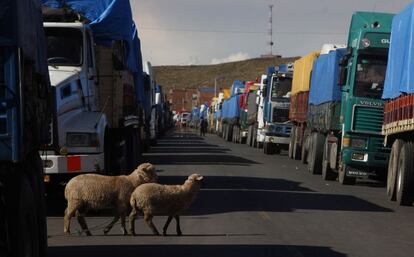 La huelga de transportistas en a frontera con Per&uacute;. 