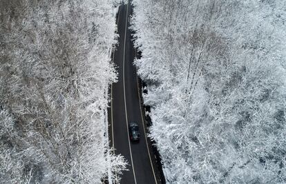 Una carretera rodeada de árboles cubiertos de nieve en Estambul (Turquía), en una imagen tomada desde un dron.