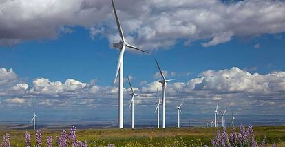 Parque eólico de Iberdrola.