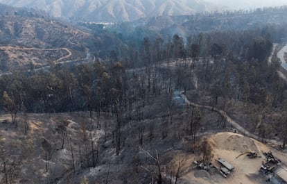 Incendios Viña del Mar 2024