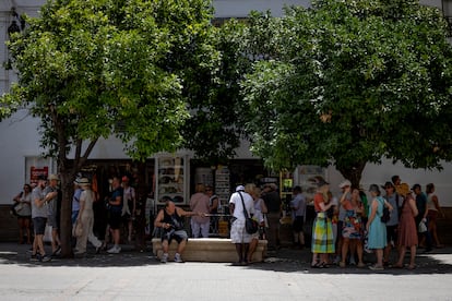 Un grupo de turistas se protegen del sol bajo la sombra de unos naranjos, este viernes en Sevilla.
