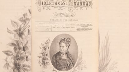 Violetas del Anáhuac