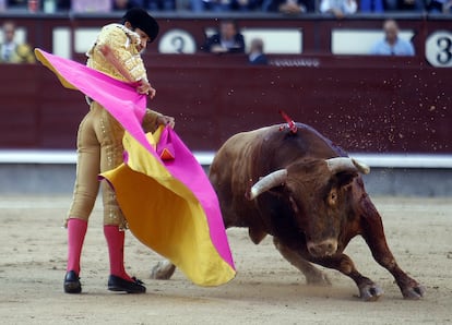 Joselito Adame, con su primer toro de la tarde, con el que se iniciaba la Feria de San Isidro el viernes 8 de mayo. Adame compartió cartel con Pepe Moral y Juan del Álamo. Los toros fueron de la ganadería El Cortijillo.