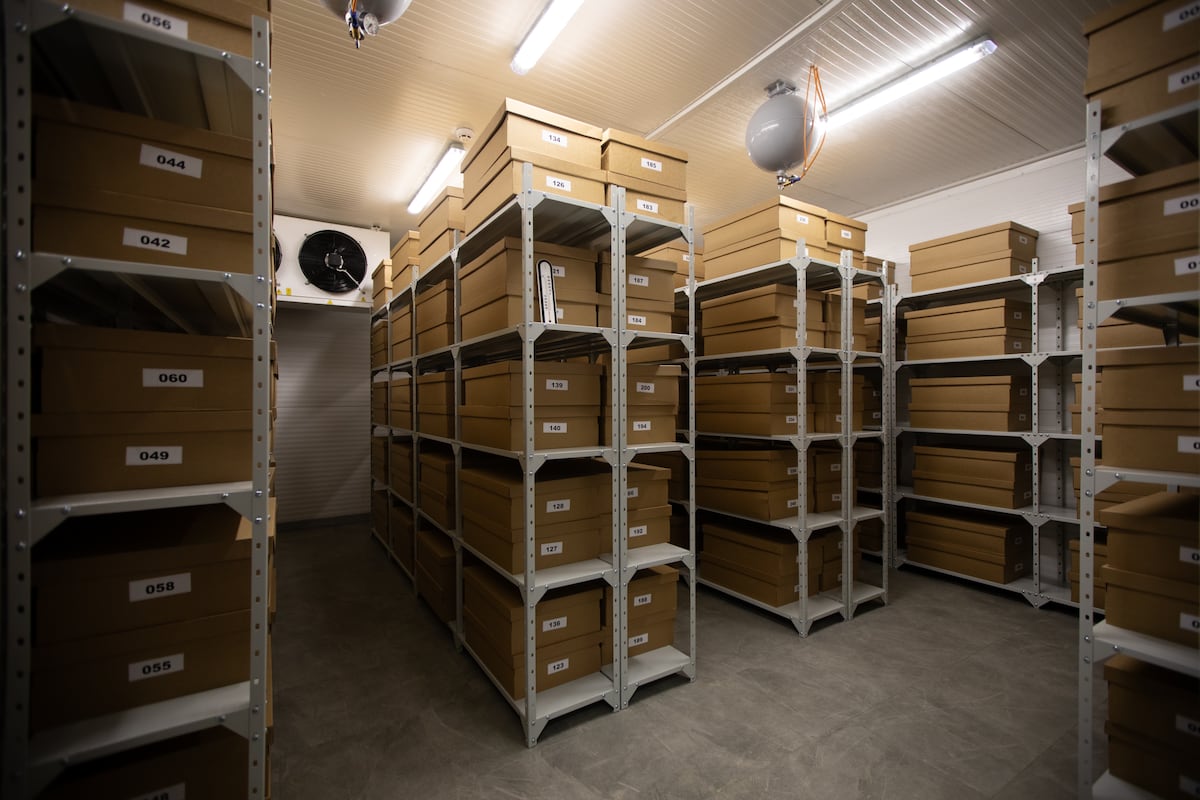 The secret journey of one of Ukraine’s treasures: Its seed bank