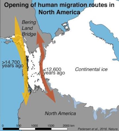 Mapa de las rutas de migración humana estudiadas.