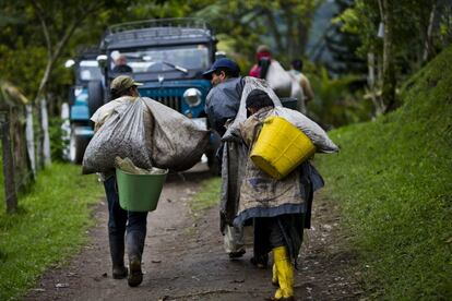Los recolectores portan los sacos de café en la finca El Ocaso.