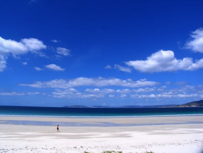 El mayor arenal de Galicia es un enclave de aspecto rural en el que perderse a lo largo de sus ocho kilómetros de frente de ola y hasta un kilómetro de ancho. Si su hórreo atrae desde siempre, no menos importante es el pinar de la parte central y la playa marismeña de Boca do Río, donde en bajamar se forman pozas que invitan a un tranquilo baño en familia. A las acumulaciones dunares —en las que nidifica el chorlitejo patinegro— se suman las recién inau­guradas cabañas de <a href="https://www.nidosdecarnota.com/" target="">Nidos de Carnota</a>, con clara vocación ornitológica. También vale la pena visitar el taller del <a href="https://elviajero.elpais.com/elviajero/2018/08/08/actualidad/1533739627_851079.html" target="">artista cerámico Nacho Porto.</a>