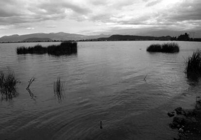 Fotografía de la laguna que renace, tomada por la artista brasileña María Thereza Alves, que está haciendo un proyecto artístico y documental sobre la lucha comunitaria del Museo de Xico y sus aspectos históricos, medioambientales y políticos.