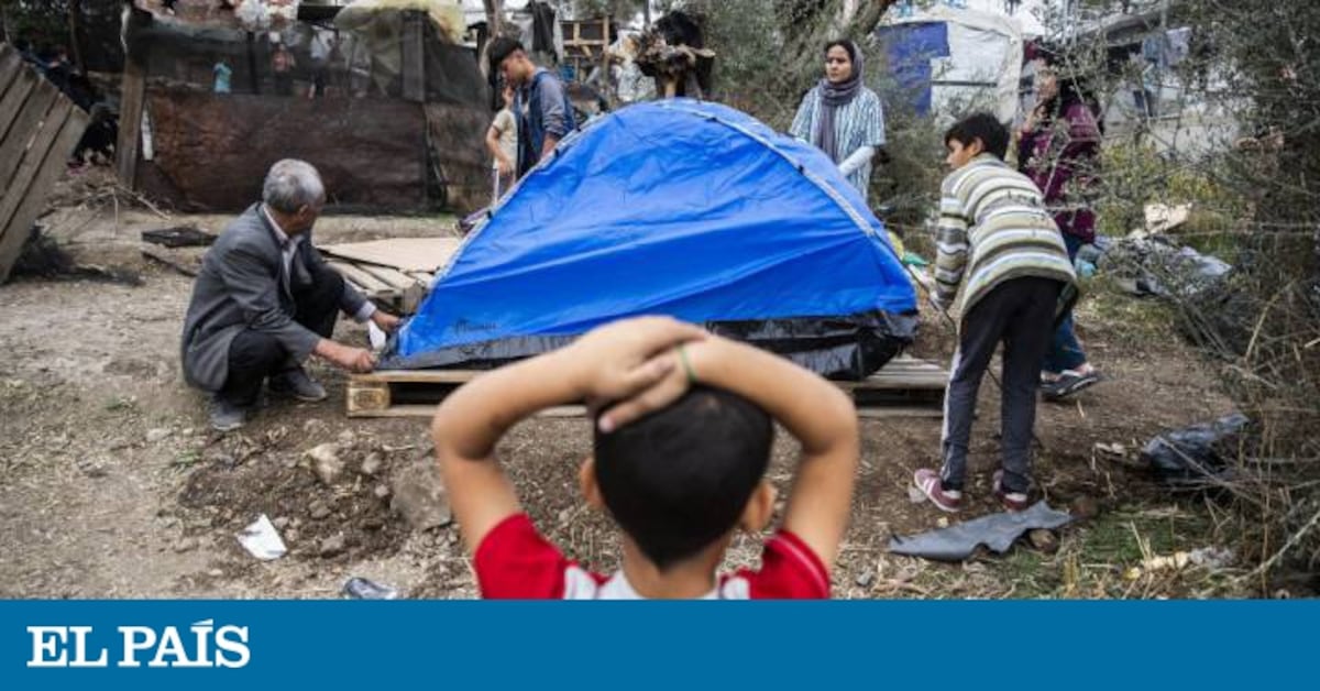 Refugiados: Política de asilo | Opinión | EL PAÍS