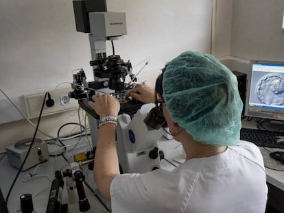 Una doctora mira a través del microscopio una muestra de embrión en el centro de reproducción asistida del hospital Virgen del Rocío en Sevilla.