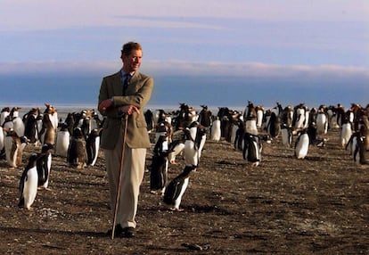 Marzo de 1999. El príncipe Carlos de Inglaterra contempla una colonia de pingüinos durante su estancia en la isla del León Moreno, durante su visita a las Islas Malvinas.