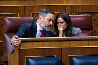 El líder de Vox, Santiago Abascal, conversa con Pepa Millán, portavoz del partido en la Cámara baja, en marzo.