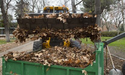 Un tractor recoge parte de las hojas caidas en el parque de El Retiro.