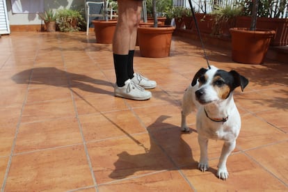 Pasear a 'Màxima' propicia cordiales diálogos con todo tipo de transeúntes.