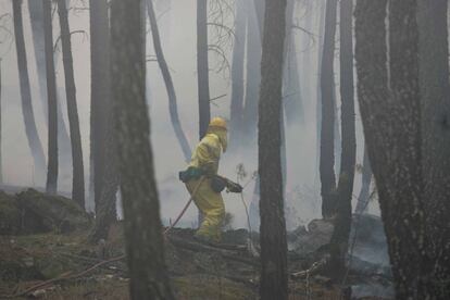 Un miembro del equipo antiincendios trabaja en la zona devastada por el incendio forestal que costó la vida a 11 personas en Guadalajara.