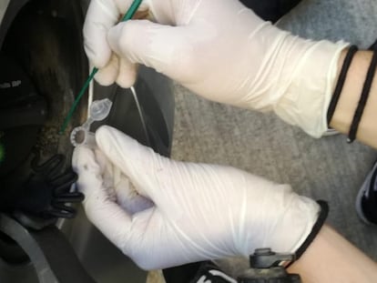Uno de los investigadores del Instituto de Biología Integrativa de Valencia toma muestras de las bacterias que habitan en la boca de los depósitos de combustible.