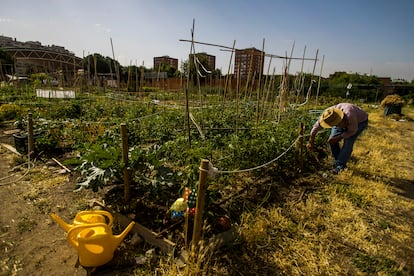 El Atlas de utopías recoge el trabajo de huertos urbanos en Madrid. En la foto, el de la Fundación Montemadrid