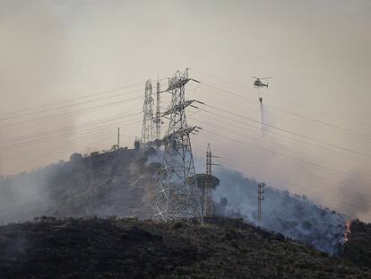 Incendio en la sierra de Collserola, en Barcelona, el pasado junio.