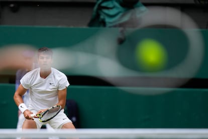 Medvedev Alcaraz Wimbledon