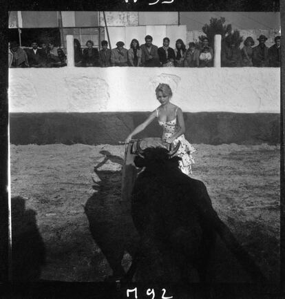 BB, toreando una vaquilla en la plaza de toros de Mijas en 1957. La actriz es hoy una activista pro-derechos de los animales.